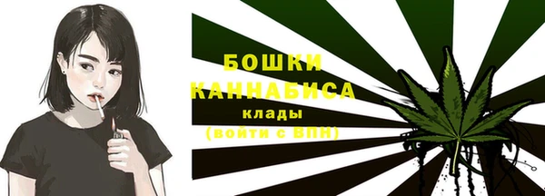 мдпв Дмитровск
