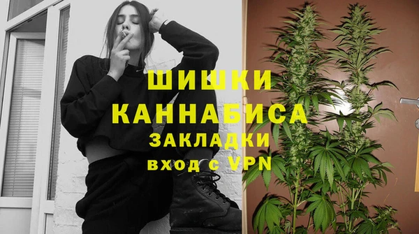 мдпв Дмитровск