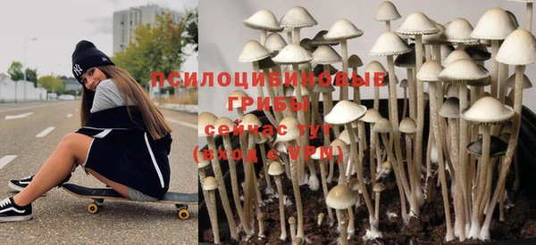 мдпв Дмитровск