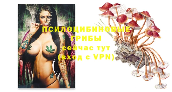 каннабис Дмитриев