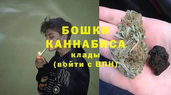 мдпв Дмитровск