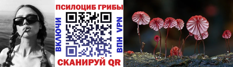 Галлюциногенные грибы GOLDEN TEACHER  Купить закладки  Пласт 